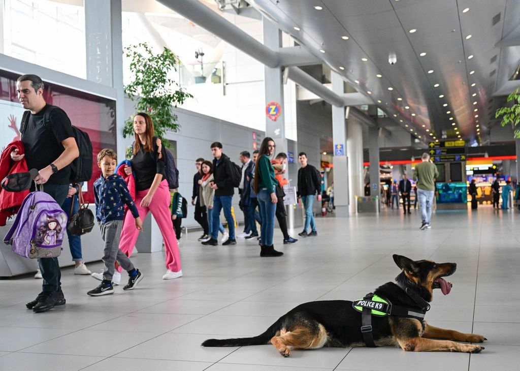 Para penumpang berjalan melewati Sonya, anjing berusia 10 tahun spesialis untuk penciuman obat-obat terlarang, di Bandar Udara Internasional Henri Coanda di Otopeni, Romania, 28 Maret 2024. 