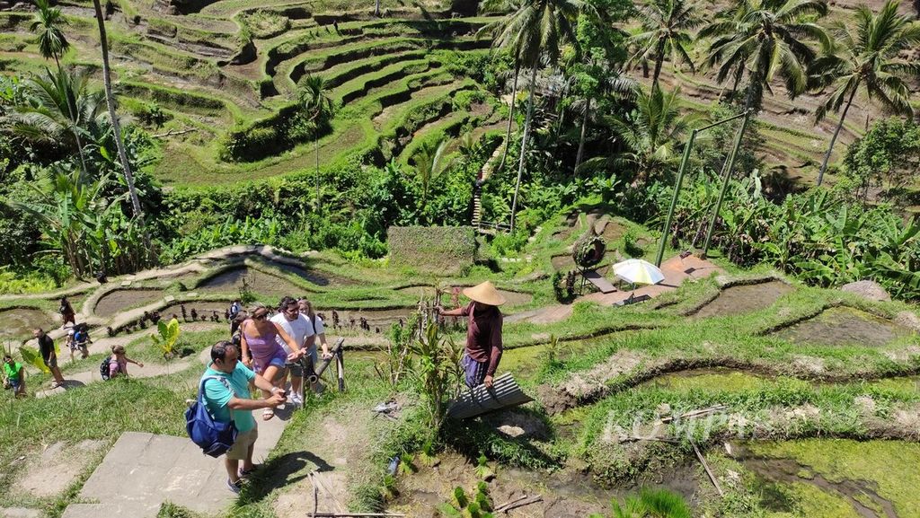 Panorama sawah berundak atau terasering di Tegallalang, Gianyar, Bali, menawarkan daya tarik alam berupa area sawah. Turis memotret aktivitas petani di area terasering Tegallalang, Gianyar, Jumat (11/8/2023). 