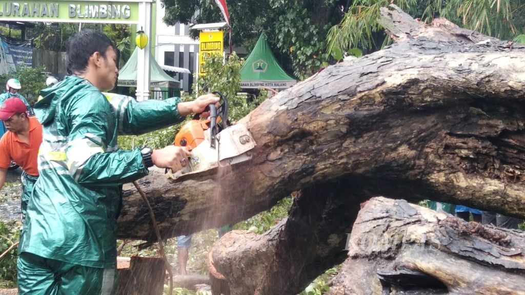 Petugas tengah mengevakuasi pohon di Jalan Karya Utara, Kota Malang, Jawa Timur, yang tumbang akibat hujan disertai angin kencang, Minggu (14/3/2021). 