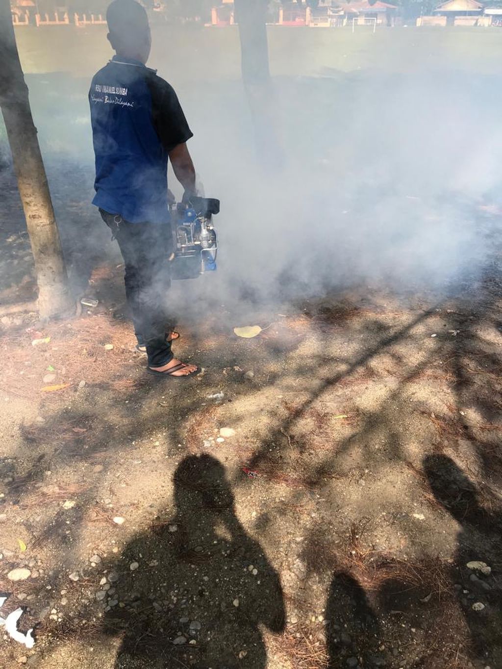 Petugas melakukan <i>fogging</i> di Kelurahan Liliba Kota Kupang, April 2020.