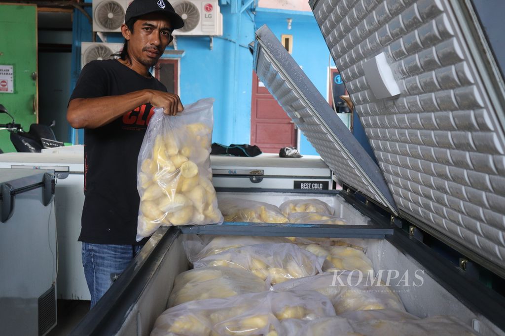 Pemilik usaha penjualan durian montong, Teguh Ferianto, memperlihatkan durian yang dikemas dalam plastik di tempat penyimpanan berpendingin di Palu, Sulteng, Rabu (27/7/2022). Durian tersebut dikirim ke perusahaan pengolahan di Medan, Sumatera Utara, dengan jasa logistik peti kemas untuk selanjutnya diekspor.