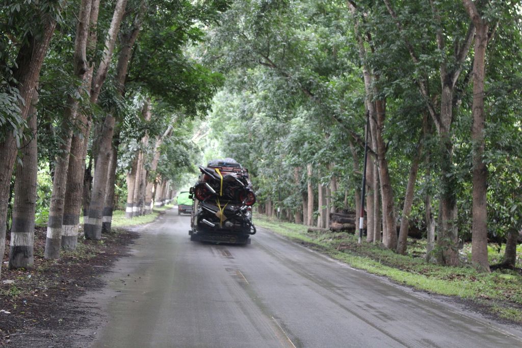 Sebuah bus antarkota yang melintas di Jalan Trans-Flores hendak memasuki zona bahaya di Desa Dulipali, Kecamatan Ile Bura, Kabupaten Flores Timur, Nusa Tenggara Timur, pada Rabu (10/1/2024) petang. 