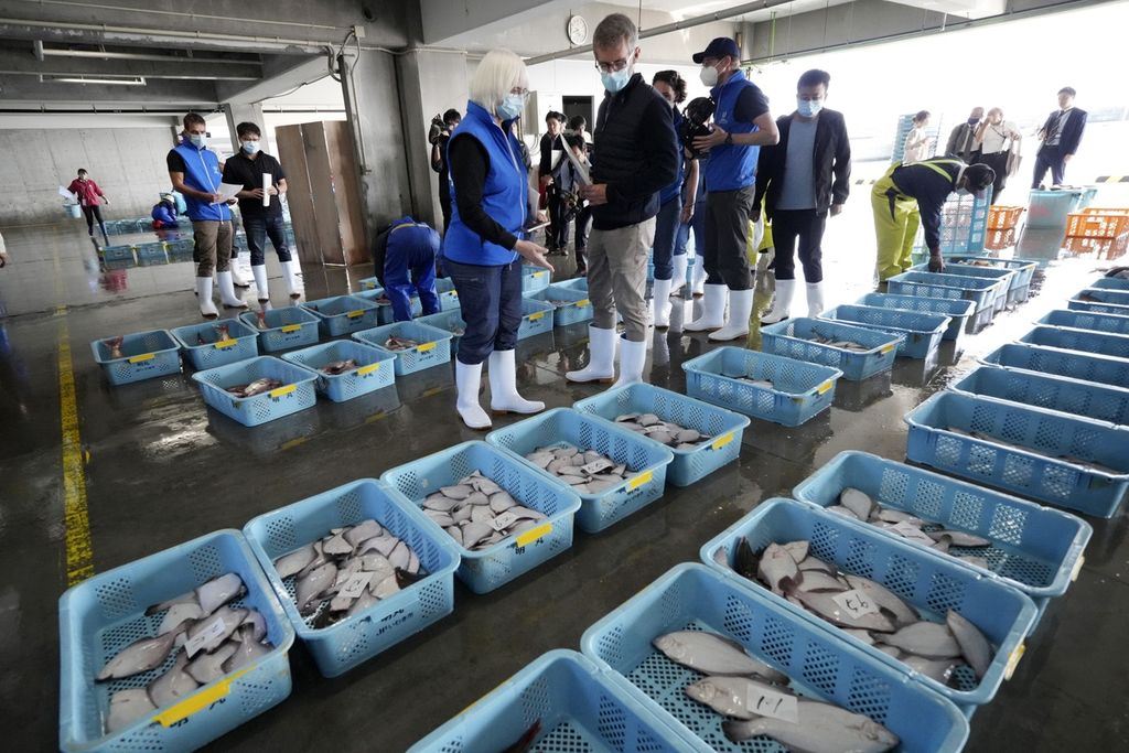 Tim ahli dari Badan Energi Atom Internasional (IAEA) bersama ilmuwan dari China, Korea Selatan, dan Kanada mengamati ikan di perairan pantai selama lelang pagi di Pelabuhan Hisanohama di Iwaki, timur laut Jepang, pada 19 Oktober 2023. 
