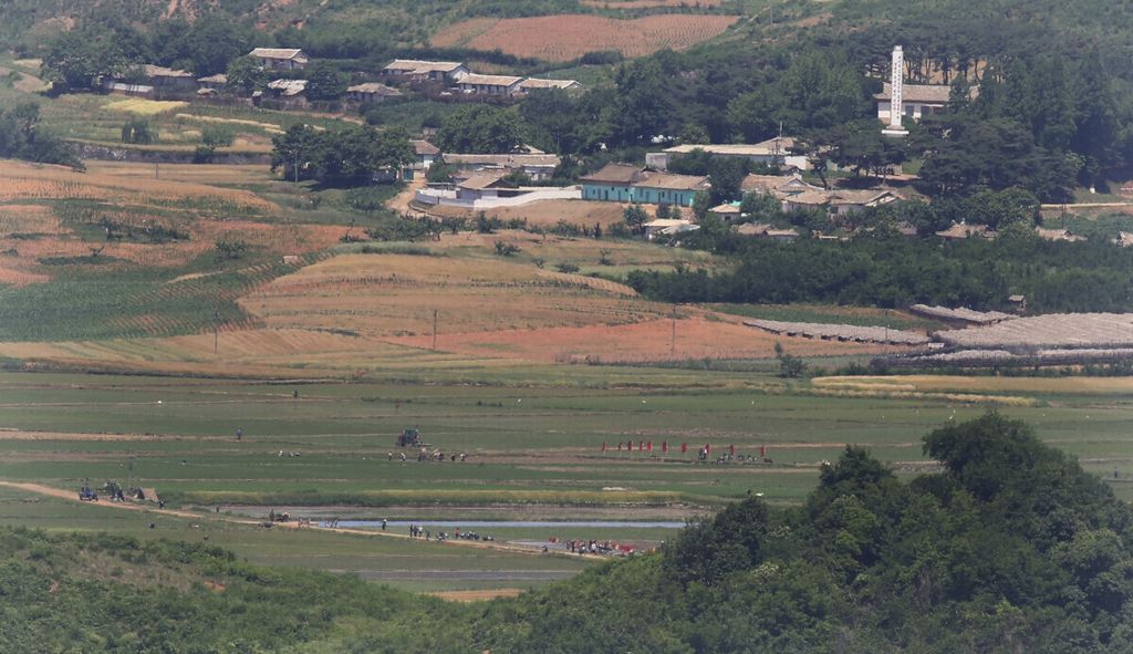 Warga Korea Utara terlihat bekerja di lahan pertanian di Kaepong, seperti terlihat dari Pos Observasi Unifikasi di Paju, Korea Selatan, dekat perbatasan kedua negara, 11 Juni 2019. Korut menghadapi kekeringan parah yang berdampak pada kerawanan pangan. 