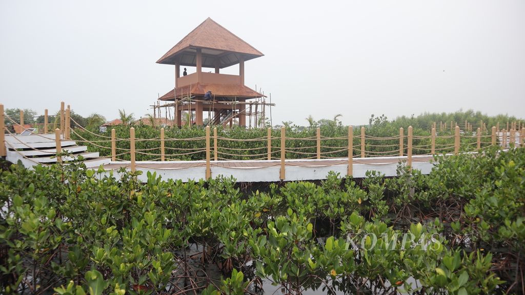 Mangrove memenuhi kawasan Ketapang Aquaculture di Kampung Pelelangan, Desa Ketapang, Kecamatan Mauk, Kabupaten Tangerang, Banten, Kamis (20/10/2022). Sebanyak 300.000 mangrove berbagai jenis tumbuh di kawasan ini sebagai pelindung dari abrasi yang menggerogoti pesisir Tangerang.