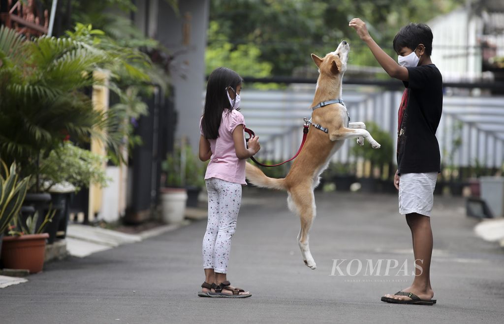 Gia (kiri) dan Olic bermain dengan Beary, anjing peliharaan mereka, di kompleks rumahnya di kawasan Larangan, Tangerang, Jumat (11/12/2020). Beary yang berusia 10 bulan diadopsi pada masa pandemi dan menjadi teman bagi keluarga mereka.