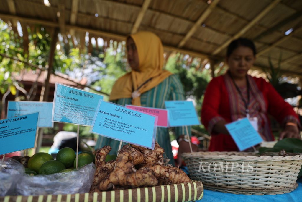 Sejumlah ibu menata bermacam tanaman obat yang ditampilkan dalam acara Festival Sewu Bakul Jamu di kompleks Candi Banyunibo, Desa Bokoharjo, Kecamatan Prambanan, Kabupaten Sleman, Daerah Istimewa Yogyakarta, Selasa (19/12/2023). 