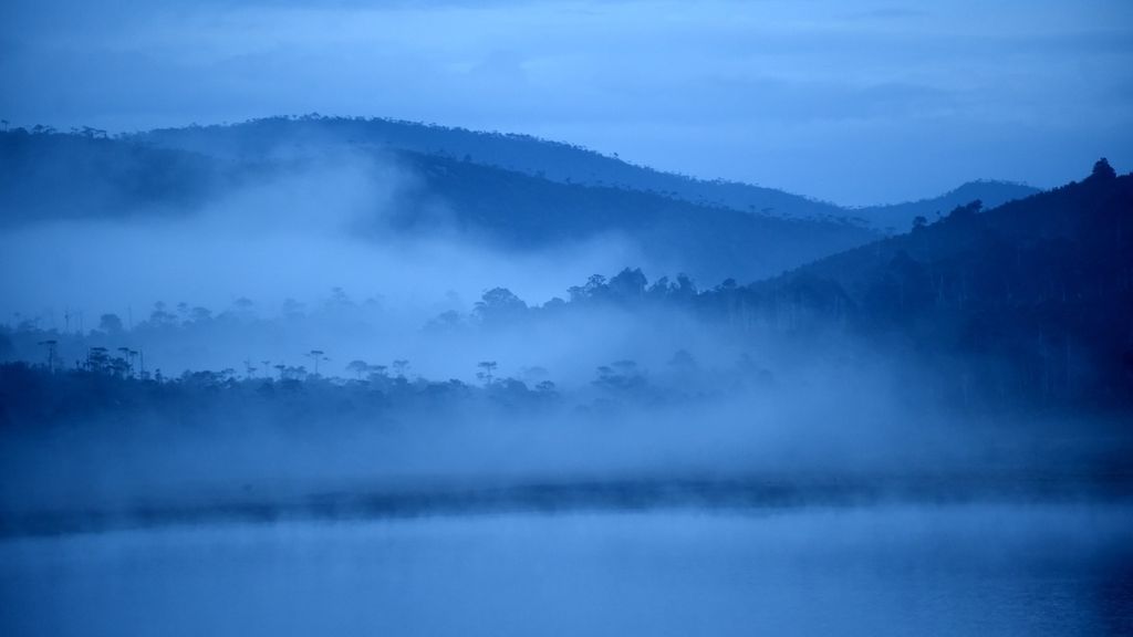 Kabut saat pagi hari di Danau Habema yang berada di kawasan Taman Nasional Lorentz, Kabupaten Jayawijaya, Sabtu (13/11/2021). Taman Nasional ini mencakup 10 wilayah kabupaten di pegunungan tengah Papua. 
