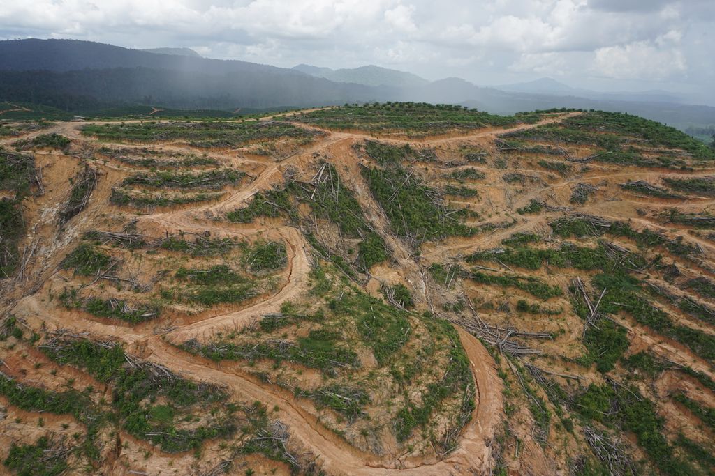 Kawasan perkebunan di Kecamatan Batang Kawa, Kabupaten Lamandau, Kalteng, Rabu (9/9/2020). Kawasan perkebunan itu diklaim memasuki wilayah adat Komunitas Adat Laman Kinipan di Desa Kinipan.
