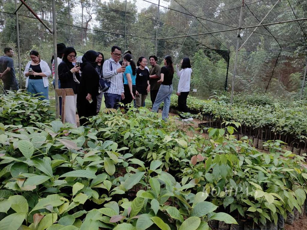 Rombongan Visit Harapan mengunjungi persemaian di kamp PT Restorasi Ekosistem Indonesia, Jambi, Kamis (8/2/2024). Keesokan harinya, mereka menanam pohon di Hutan Harapan.