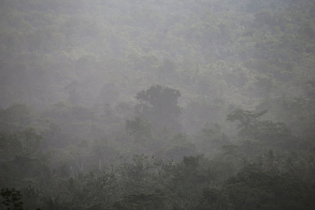 Kawasan hutan adat milik Kampung Aib, Distrik Kemtuk, Kabupaten Jayapura, yang masih terjaga kelestariannya, Sabtu (4/12/2021). Sekelompok masyarakat adat bertekad menjaga hutan adat miliknya di tengah ancaman pembalakan hutan yang terjadi secara masif di wilayah Papua. 