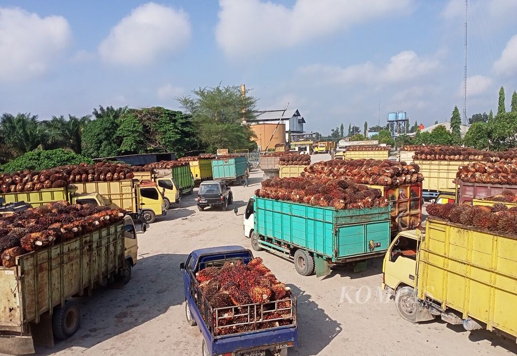 Para pemasok buah sawit mengantre untuk dapat memasok tandan buah segar ke pabrik pengolahan minyak sawit di Kabupaten Muaro Jambi, Jambi, Senin (18/7/2022). Harga buah sawit di wilayah itu kini mencapai Rp 1.200 per kilogram.