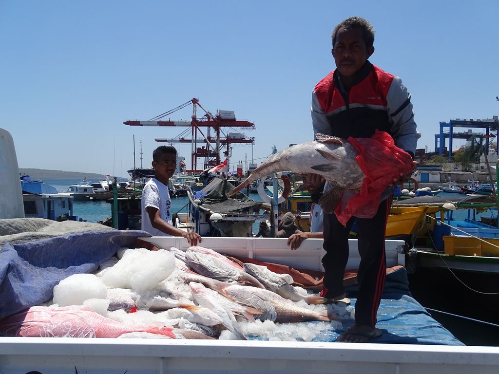 Ibrahim (51), nelayan Kupang, sedang memperlihatkan tangkapan berupa ikan kerapu ukuran besar. Ikan dengan bobot 10 kg ini dijual dengan harga Rp 40.000 per kg.