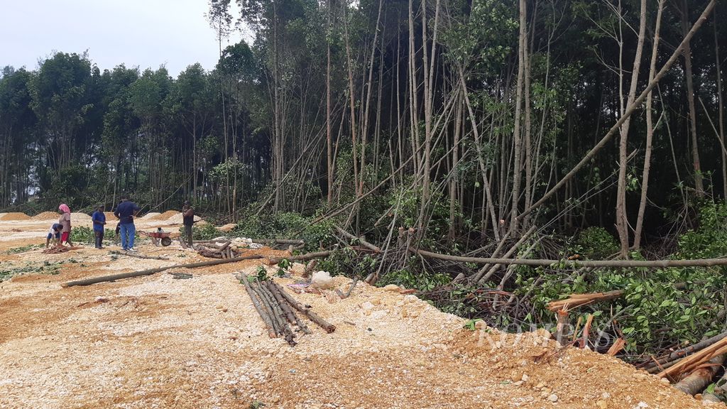 Kondisi kerusakan hutan bakau akibat aksi penebangan dan penimbunan dengan pasir di Taman Wisata Alam Teluk Youtefa, Kota Jayapura, Papua, Selasa (11/7/2023).