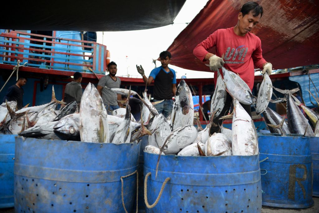Tumpukan ikan yang telah dikeluarkan dari lambung kapal di Pelabuhan Perikanan Samudera Nizam Zachman, Jakarta Utara, Rabu (28/12/2022).