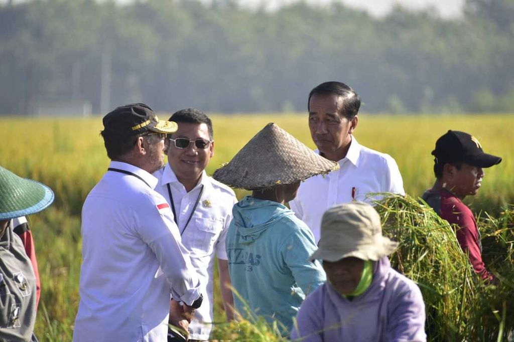 Presiden Joko Widodo saat melakukan panen raya di Desa Kartoharjo, Kabupaten Ngawi, Jatim, Sabtu (11/3/2023). 