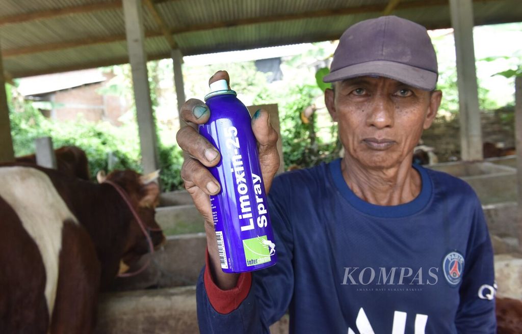 Winarto menunjukkan obat kuku sapi yang terjangkit penyakit mulut dan kuku di Desa Sembung, Kecamatan Wringinanom, Kabupaten Gresik, Jawa Timur, Rabu (11/5/2022).