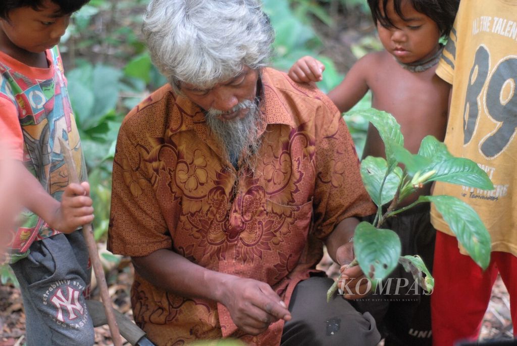 Tengganai Besemen menunjukkan salah satu tanaman obat kepada anak-anaknya di Taman Nasional Bukit Duabelas, Sarolangun, Jambi, Sabtu (2/7/2022). Pelestarian hutan mendesak diperkuat sebagai habitat tanaman-tanaman obat itu.