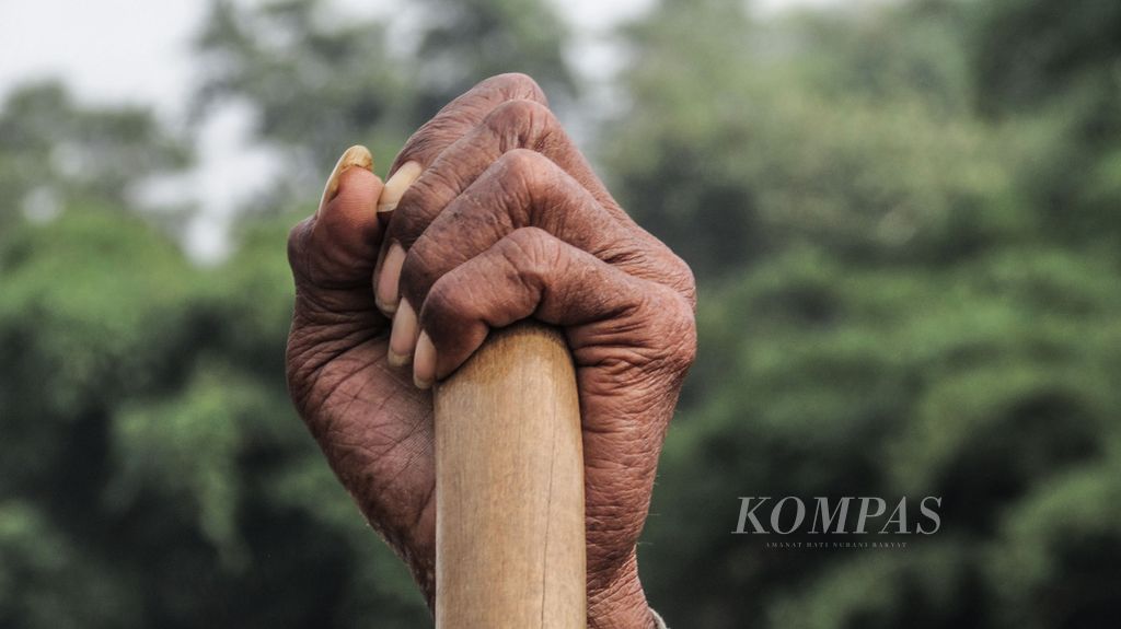 Tangan Basuni (70) menggengam cangkul untuk menggarap sawahnya yang ditanami kacang tanah di Sukamulya, Bogor, Jawa Barat, Minggu (29/11/2020). Basuni tetap produktif di usia senjanya. 