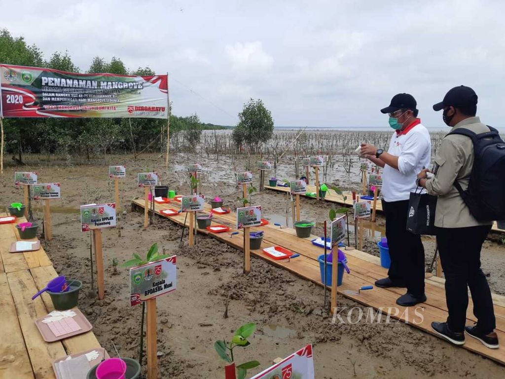 Gubernur Sumatera Selatan Herman Deru bersiap untuk menanam bakau di kawasan Pelabuhan Tanjung Api-Api, Kabupaten Banyuasin, Sumatera Selatan, Senin (3/8/2020). Sekitar 20 persen dari 158.000 hektar lahan mangrove di Sumsel dalam keadaan kritis.