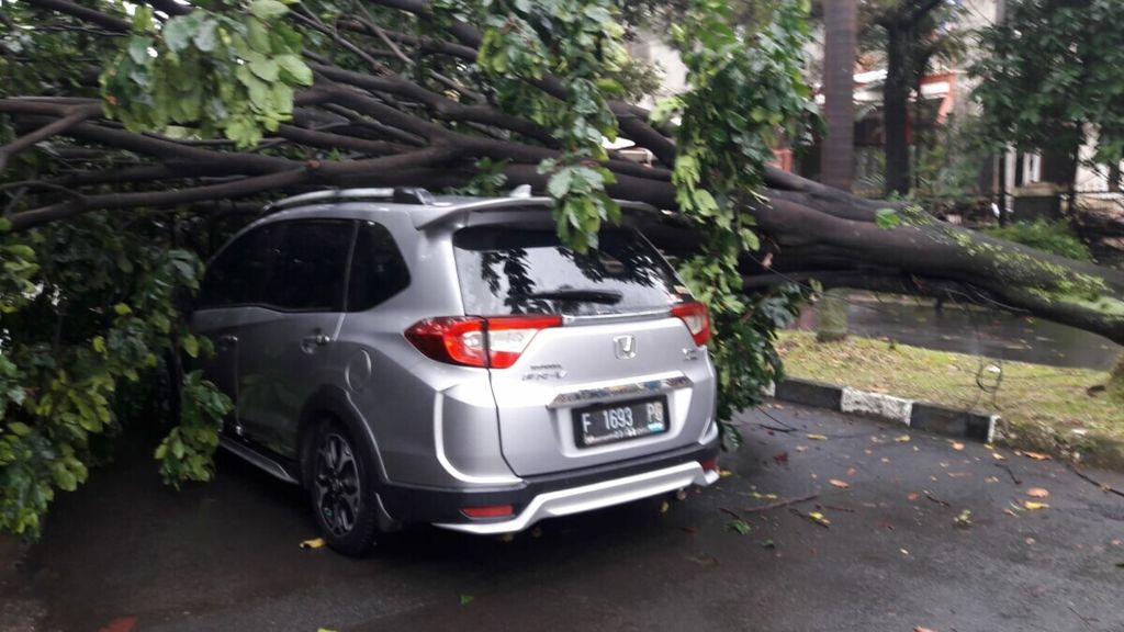  Cuaca ekstrem yang melanda Kota Bogor sejak Minggu (17/10/2021) menyebabkan sejumlah pohon roboh menimpa kendaraan warga. Badan Penanggulangan Bencana Daerah (BPBD) Kota Bogor, Senin (18/10/2021), mendata ada 13 peristiwa bencana karena cuaca ekstrem. Setidaknya ada 4 mobil yang rusak akibat tertimpa pohon dan dahan. 