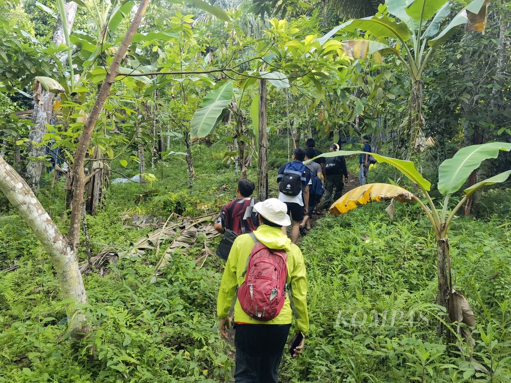 Wisatawan yang akan mencari durian langsung ke kebunnya berjalan melewati pepohonan di kawasan Hutan Kekait, Lombok Barat, Nusa Tenggara Barat, Minggu (22/1/2023).