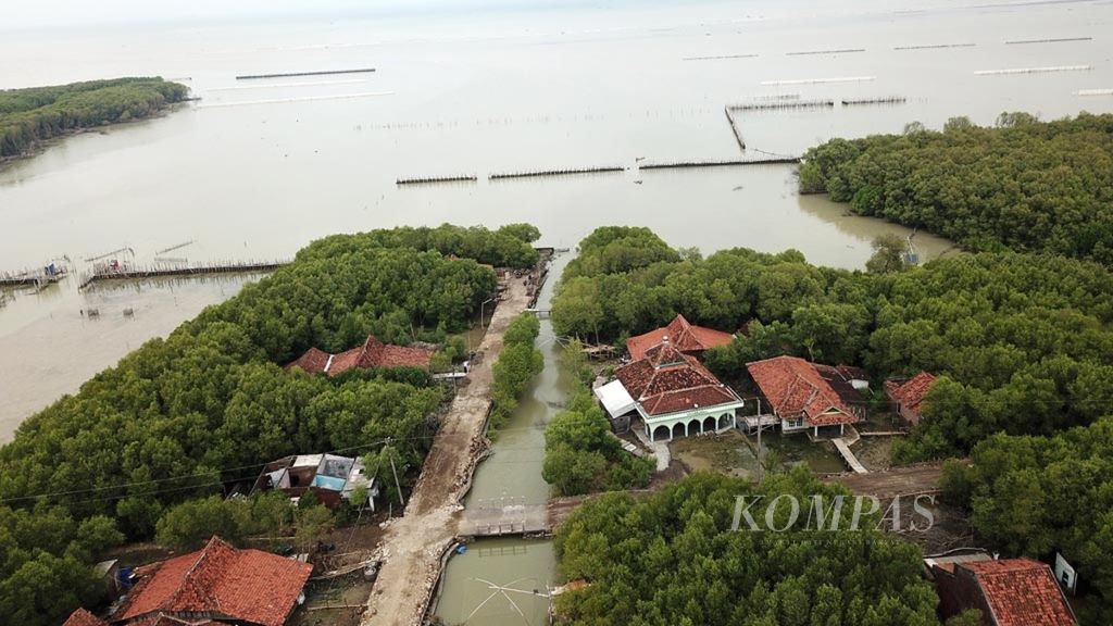 Kawasan mangrove yang menjadi pelindung bagi kawasan pesisir pantai di Desa Timbulsloko, Kecamatan Sayung, Kabupaten Demak, Jawa Tengah, Kamis (3/1/2019). Ancaman pesisir utara jawa tersebut disebabkan abrasi, kerusakan kawasan mangrove, penurunan permukaan tanah, dan perubahan iklim.