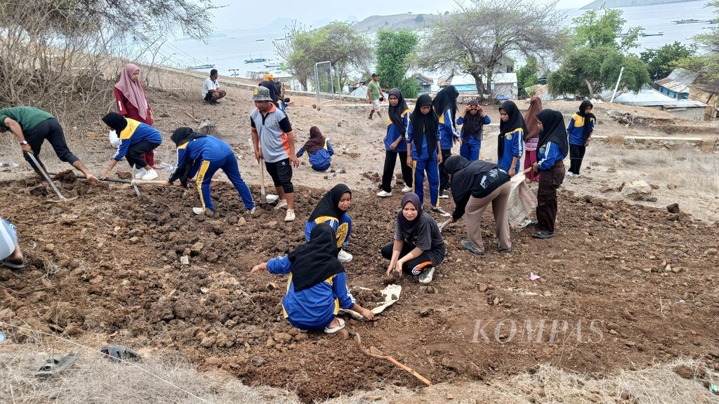 Siswa dan siswi SMKN Restorasi Pulau Komodo gotong royong membangun sekolah darurat sementara untuk mereka di Desa Komodo, Manggarai Barat, Nusa Tenggara Timur, Jumat (5/1/2024).