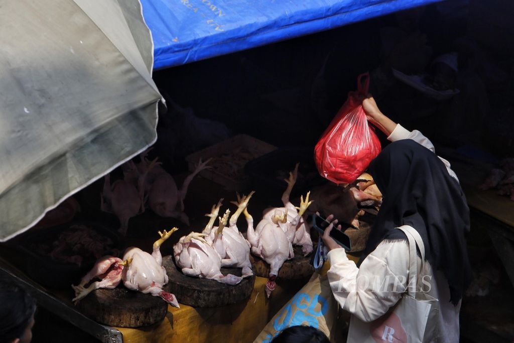 Pelanggan sedang berbelanja ayam broiler di Pasar Kebayoran Lama, Jakarta Selatan, Senin (3/7/2023). Melonjaknya harga daging ayam hingga pada kisaran Rp 50.000 per kilogram, menurut rilis yang dikeluarkan BPS, menjadi salah satu penyumbang inflasi pada Juni 2023. 