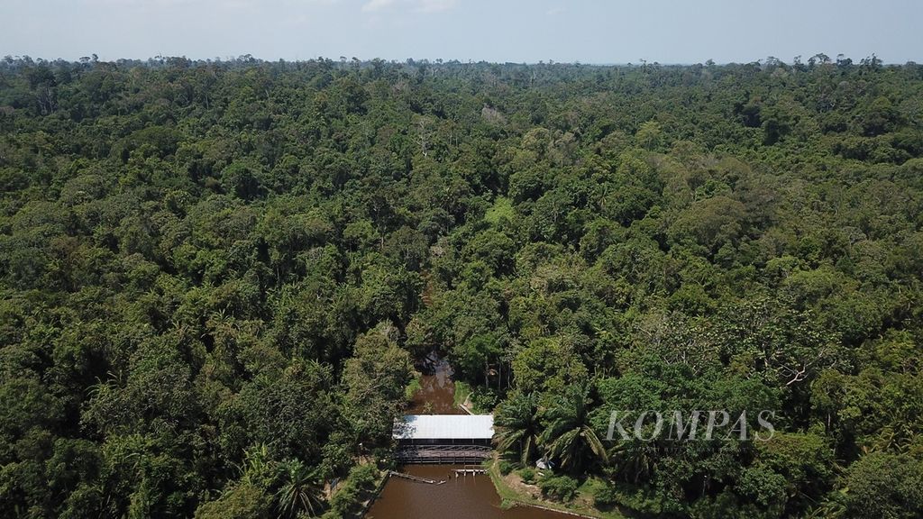 Bendungan yang dibangun Pertamina di kawasan Hutan Lindung Sungai Wain di Kelurahan Karang Joang, Kecamatan Balikpapan, Kota Balikpapan, Kalimantan Timut, Jumat (30/8/2019). 