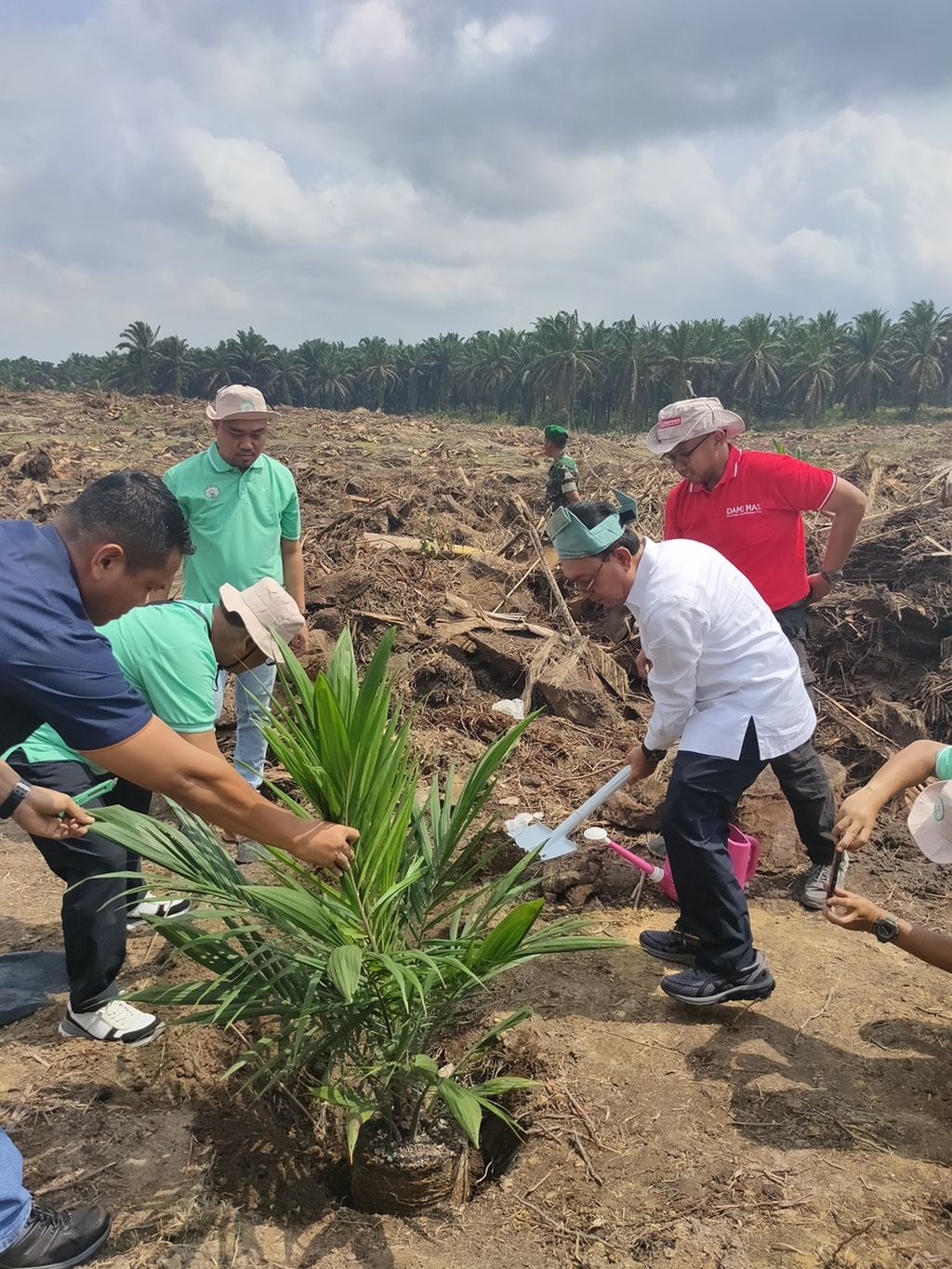 Ketua Umum Gapki Eddy Martono (berbaju putih)  menanam kelapa sawit milik anggota Koperasi Berkat Ridho dalam program Peremajaan Sawit Rakyat di Desa Kijang Makmur, Kecamatan Tapung Hilir, Kampar, Riau, Senin (18/9/2023). 