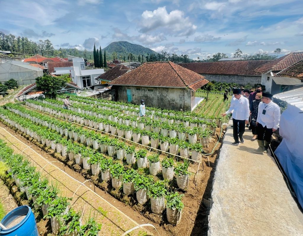 Presiden Joko Widodo meninjau Koperasi Pondok Pesantren (Kopontren) Al-Ittifaq di Kecamatan Rancabali, Kabupaten Bandung, Jawa Barat, Senin, 6 Maret 2023. 