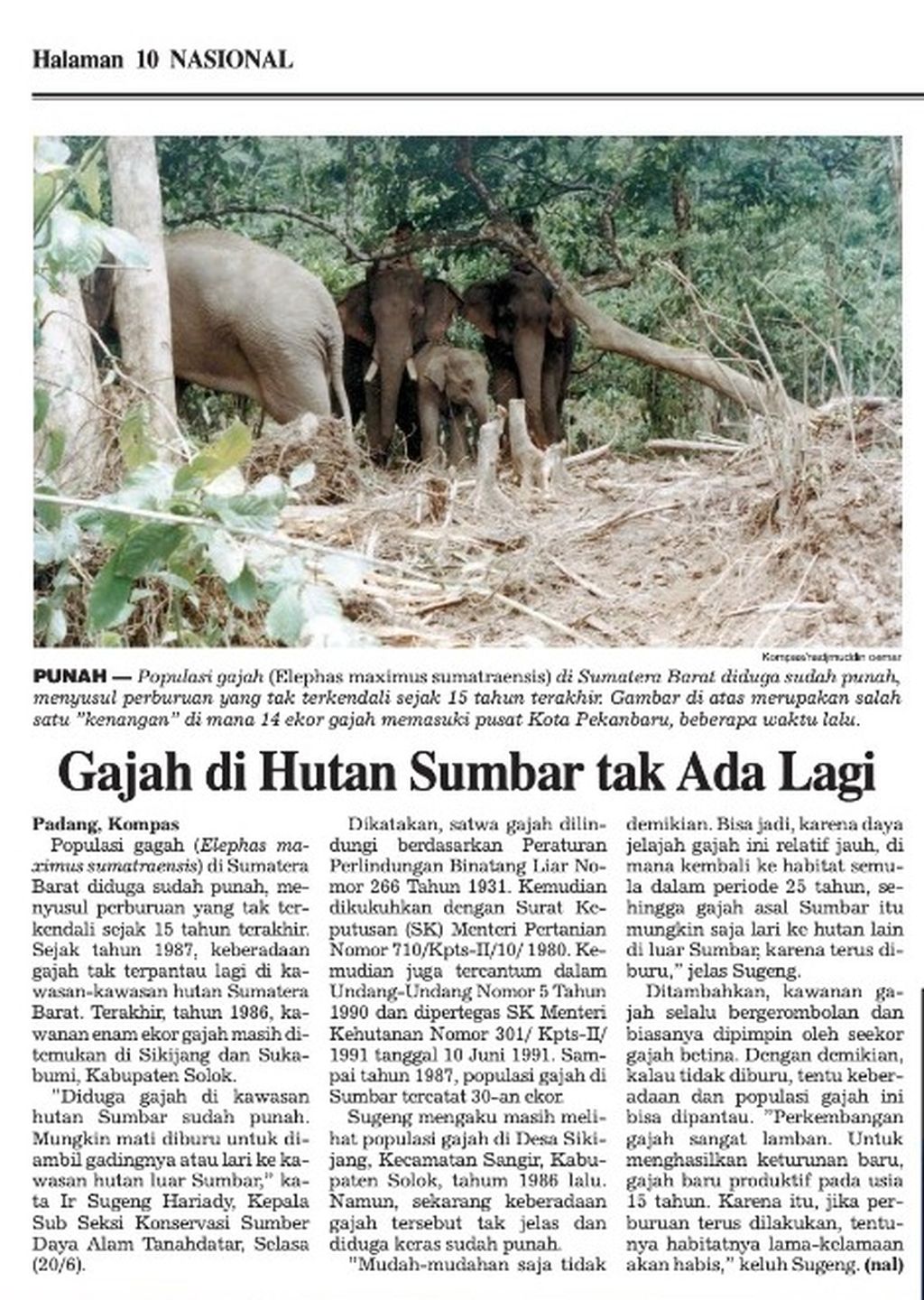 Berita hilangnya gajah di Sumatera Barat di harian <i>Kompas</i>, Juni 2000.