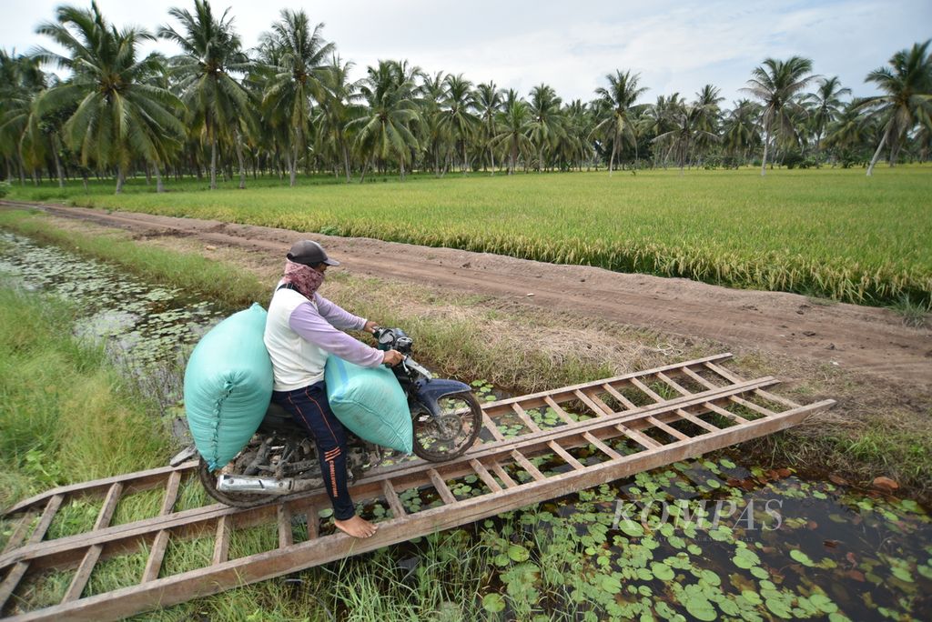 Petani mengangkut gabah kering seusai panen menggunakan alat komben alias <i>combine harvester</i> di persawahan Desa Purwosari, Kecamatan Tanjung Lago, Sumatera Selatan, Senin (26/2/2024). 