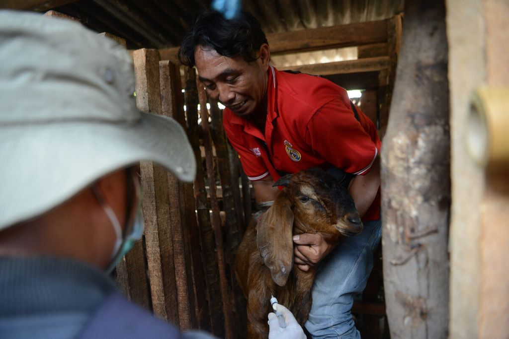  Petugas menyuntikkan vaksin antraks pada tubuh ternak kambing di Desa Dadapayu, Kecamatan Semanu, Kabupaten Gunungkidul, DI Yogyakarta, Rabu (22/1/2020). 