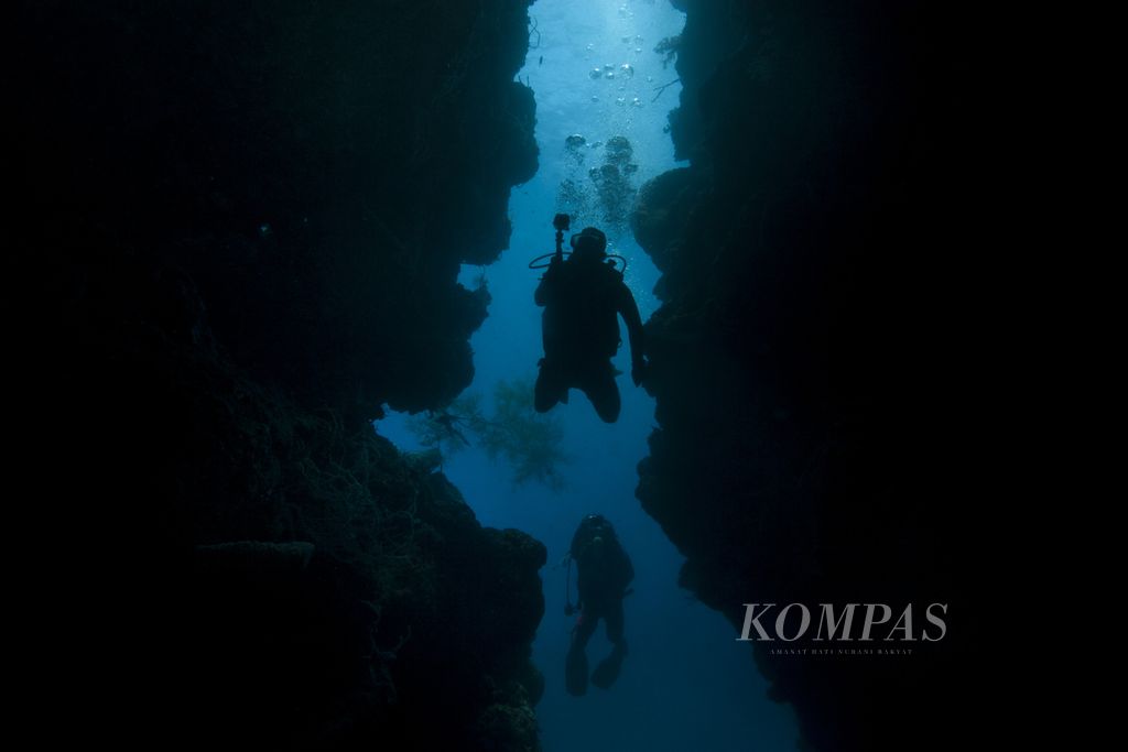  Penyelam menelusuri gua bawah laut di perairan Pulau Menjangan, Kabupaten Buleleng, Bali, Jumat (27/11). 