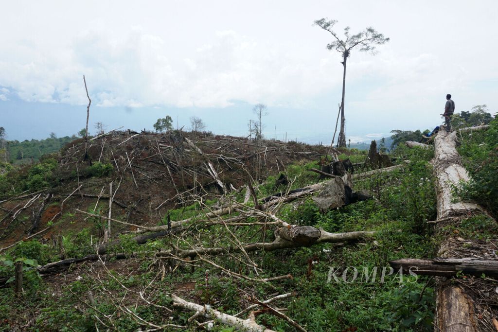 Salah satu lokasi perambahan di dalam Taman Nasional Gunung Leuser di Kabupaten Aceh Tenggara, Provinsi Aceh, Senin (4/2/2019). Perambahan dilakukan oleh warga untuk dijadikan lahan perkebunanan. Catatan Yayasan Hutan Alam Lingkungan Aceh (HAkA) pada 2018, TNGL kehilangan tutupan hutan seluas 807 hektar.