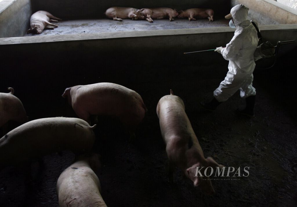 Petugas dari Karantina Kapuk berpakaian lengkap menyemprot disinfektan ke kandang babi di Jalan Peternakan, Cengkarang, Kapuk, Jakarta, Selasa (28/4).