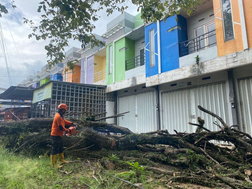 Angin kencang melanda Kota Malang, Jawa Timur, beberapa waktu ini. Pepohonan pun tumbang di beberapa wilayah. Masyarakat diminta waspada.