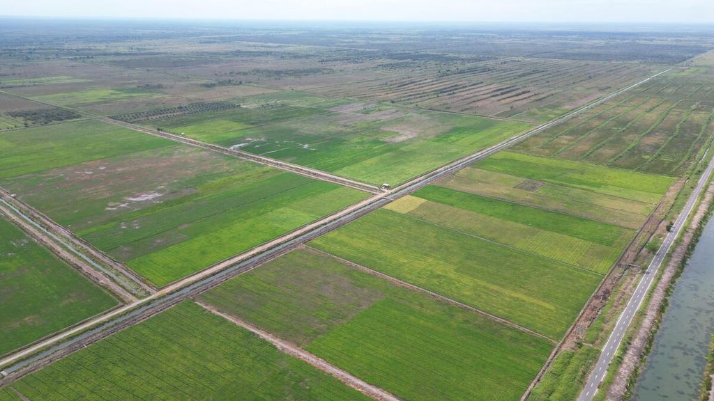 Lahan<i> food estate</i> di Desa Dadahup, Kabupaten Kapuas, Kalimantan Tengah, saat difoto dari udara, Rabu (28/8/2024). Kementan bakal segera melaksanakan program optimasi lahan di Kalteng dengan luas mencapai 500.000 hektar. 