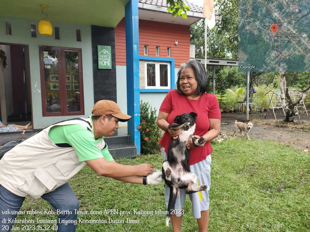 Vaksinator dari Dinas Perikanan dan Peternakan Kabupaten Barito Timur, Kalimantan Tengah, memberikan vaksin rabies kepada anjing peliharaan di wilayah kerjanya, Selasa (20/6/2023). Di Barito Timur, satu pasien terduga rabies meninggal dunia karena terkena gigitan anjing.