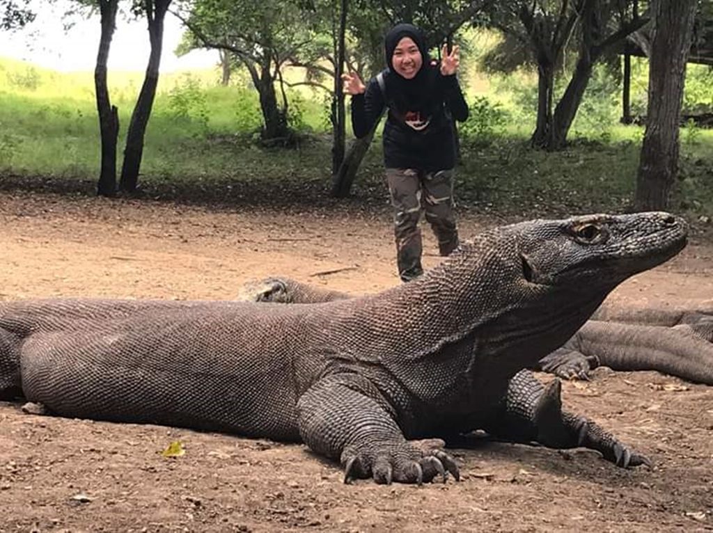 Interaksi dengan Manusia Mengubah Perilaku Komodo - Kompas.id