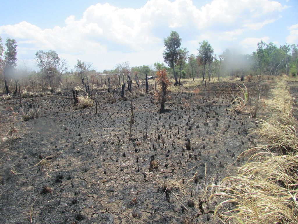 Sebagian kawasan hutan lindungan dengan tujuan khusus di pinggiran Kota Kupang terbakar, Jumat (15/9/2023). 