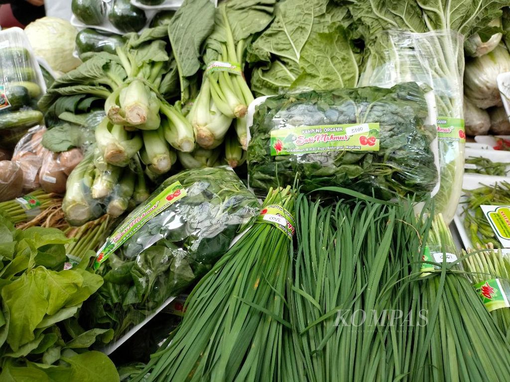 Sejumlah sayuran produksi kelompok tani di Kota Magelang, Jawa Tengah, dijual dalam acara Plaza Tani di Kantor Dinas Pertanian dan Pangan Kota Magelang, Kota Magelang, Jawa Tengah, Jumat (23/9/2022).