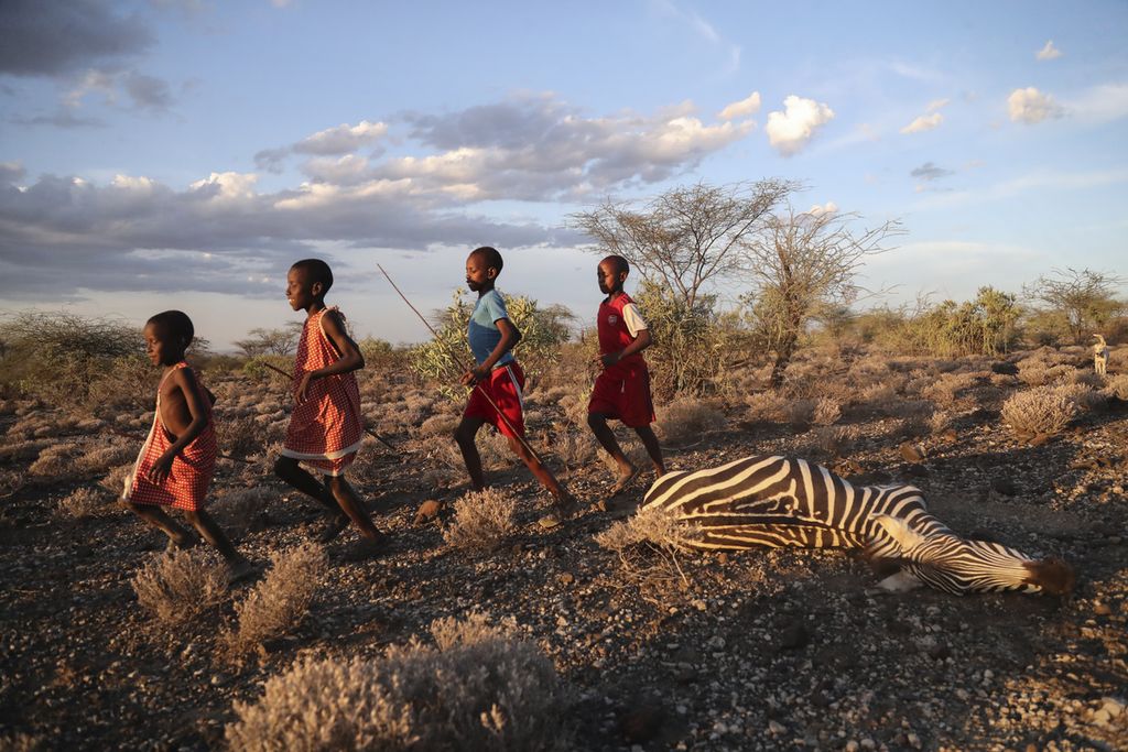 Anak-anak Maasai berlari melewati seekor zebra yang menurut warga setempat mati karena kekeringan, saat mereka menggembalakan ternak mereka di Desa Ilangeruani, dekat Danau Magadi, Kenya, pada Rabu, 9 November 2022. Sebagian wilayah Kenya telah mengalami empat musim berturut-turut dalam dua tahun terakhir.