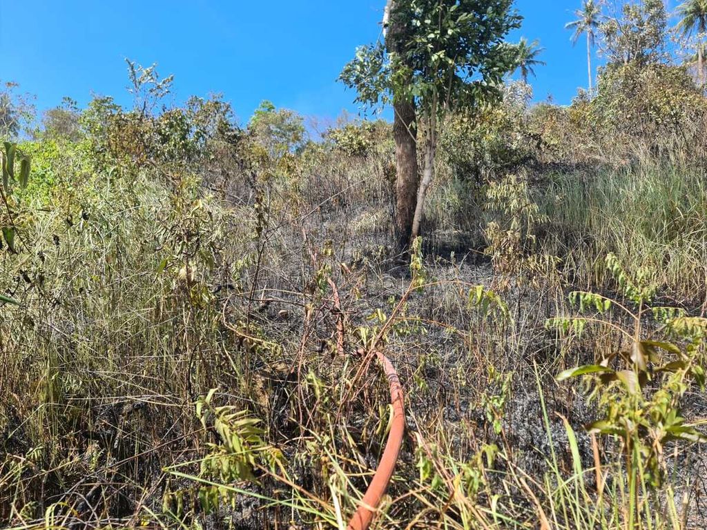 Salah satu lokasi lahan yang terbakar di Desa Paya Seunara, Kota Sabang, Aceh, Senin (16/5/2023). Cuaca yang panas dapat memicu kebakaran lahan semakin masif. 