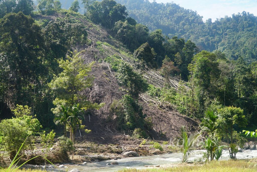 Salah satu lahan terbuka yang terkikis hujan di perbukitan daerah aliran Sungai Surantih yang dilanda banjir bandang di Kampung Langgai, Nagari Ganting Mudiak Utara Surantih, Kecamatan Sutera, Kabupaten Pesisir Selatan, Sumatera Barat, Kamis (14/3/2024). 