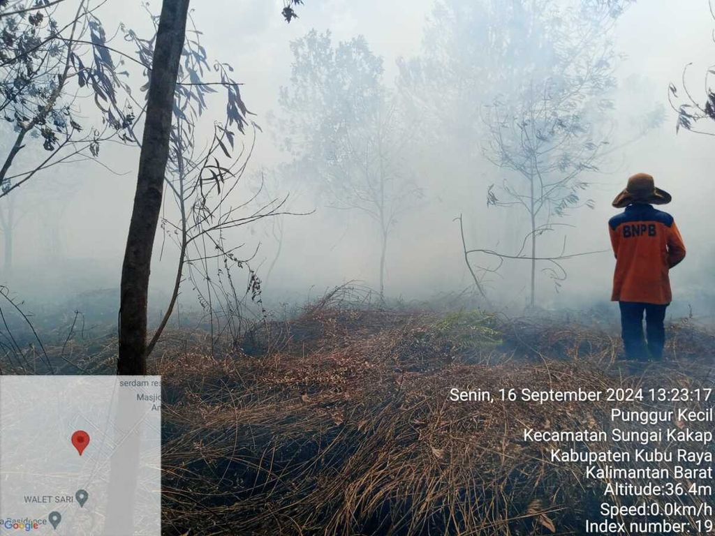 Petugas Badan Penanggulangan Bencana Daerah Kalimantan Barat berusaha memadamkan kebakaran lahan gambut di Kabupaten Kubu Raya, Kalbar, Senin (16/9/2024).