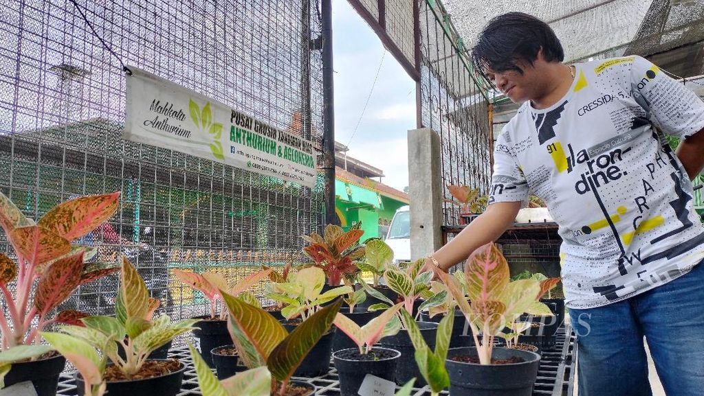 Adhi Agung Wahyu Utomo mengecek kondisi tanaman hias miliknya yang dibudidayakan di rumahnya di Desa Sumurarum, Kecamatan Grabag, Kabupaten Magelang, Sabtu (2/3/2024).