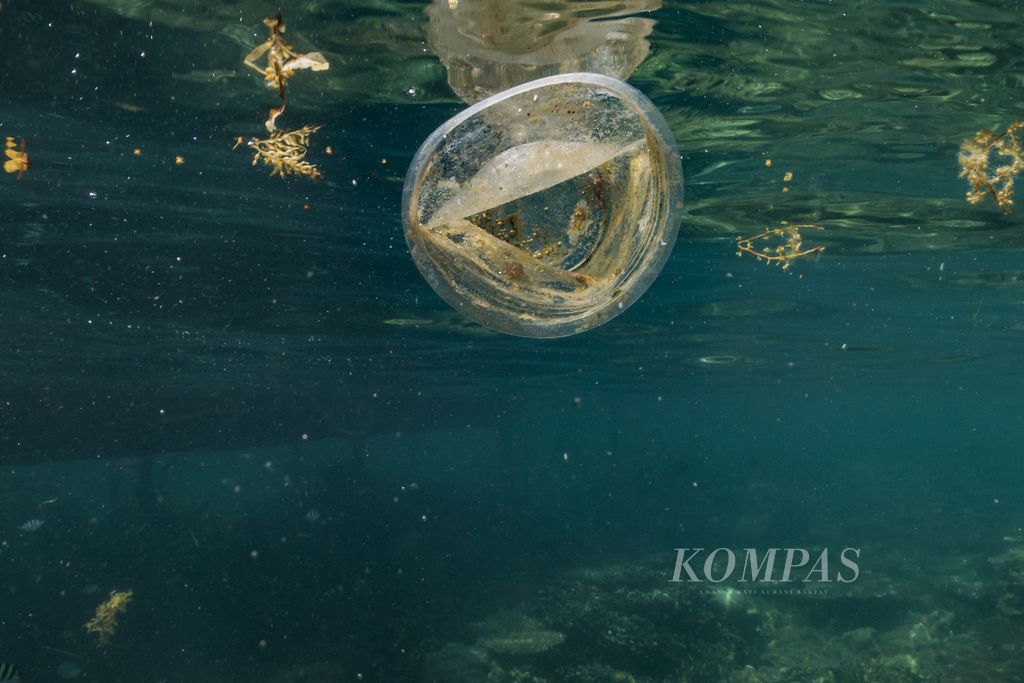 Sampah plastik di dekat Pulau Cilik, Kepulauan Karimunjawa, Kabupaten Jepara, Jawa Tengah, Minggu (12/6/2022). Sampah masih menjadi ancaman bagi kelestarian berbagai satwa dilindungi di laut, seperti salah satunya penyu sisik. 